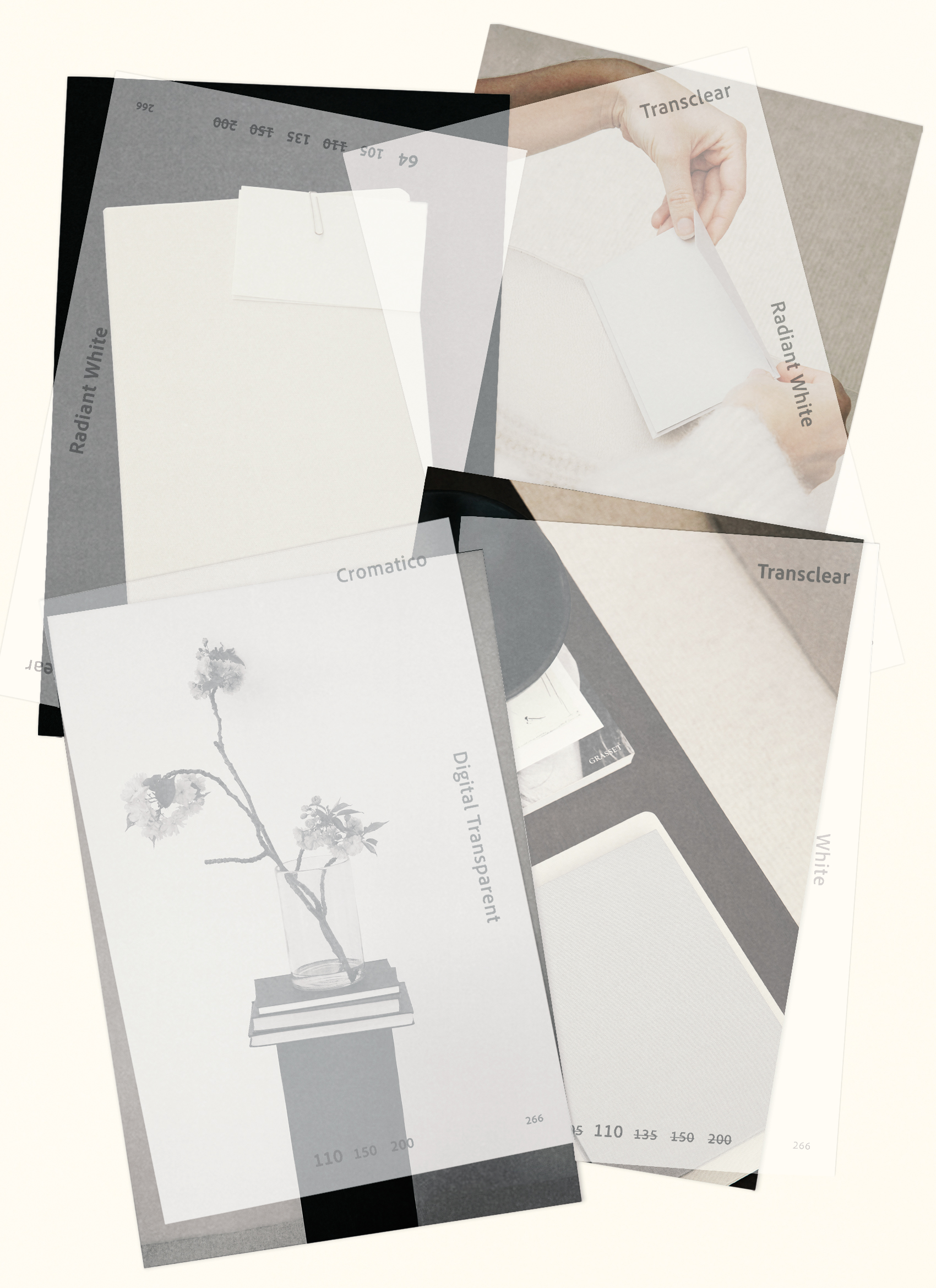 Rebecca Berrington Scan and Scatter Collection 013.jpg